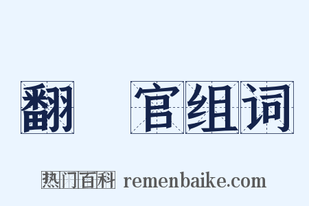 翻譯官组词是什么意思的图片